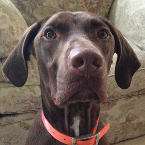 Meet your Posher, Ellyana